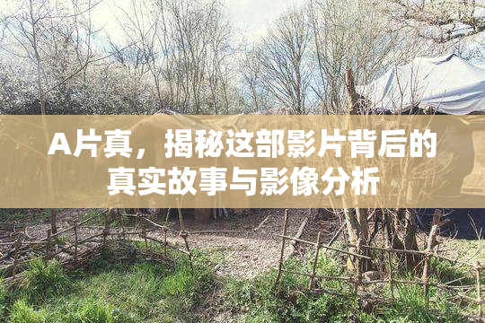 A片真，揭秘这部影片背后的真实故事与影像分析