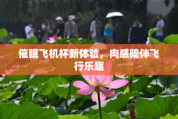 催眠飞机杯新体验，肉感陪伴飞行乐趣