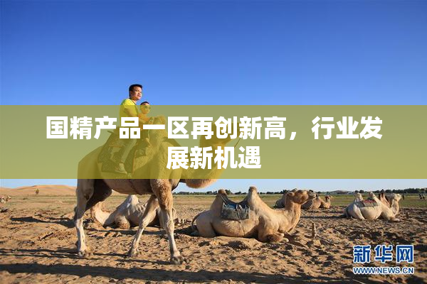 国精产品一区再创新高，行业发展新机遇