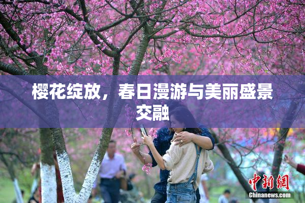 樱花绽放，春日漫游与美丽盛景交融