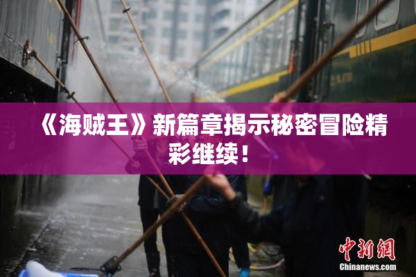 《海贼王》新篇章揭示秘密冒险精彩继续！