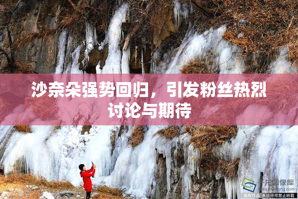 沙奈朵强势回归，引发粉丝热烈讨论与期待