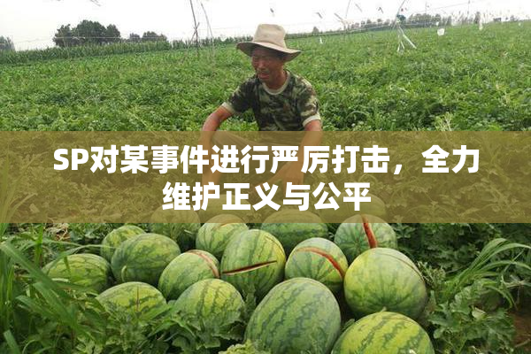 SP对某事件进行严厉打击，全力维护正义与公平