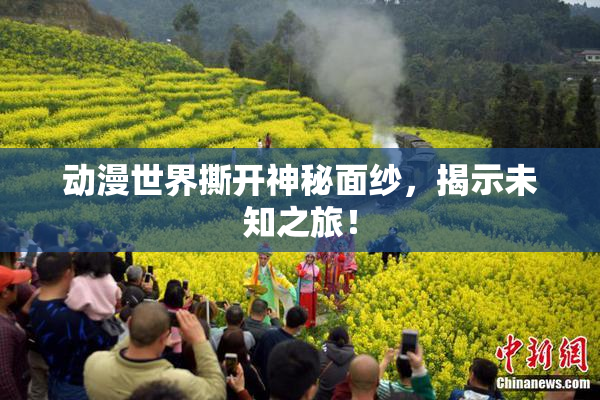 动漫世界撕开神秘面纱，揭示未知之旅！