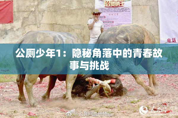 公厕少年1：隐秘角落中的青春故事与挑战