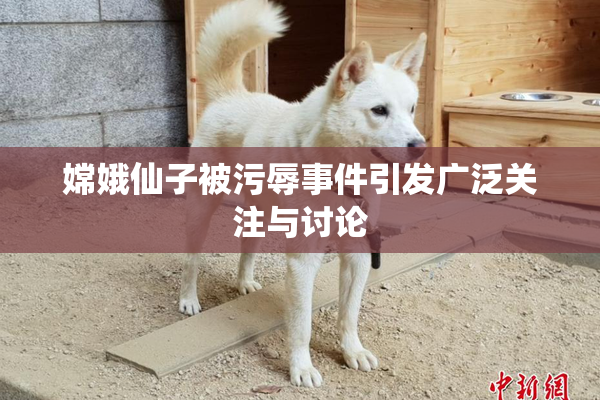 嫦娥仙子被污辱事件引发广泛关注与讨论