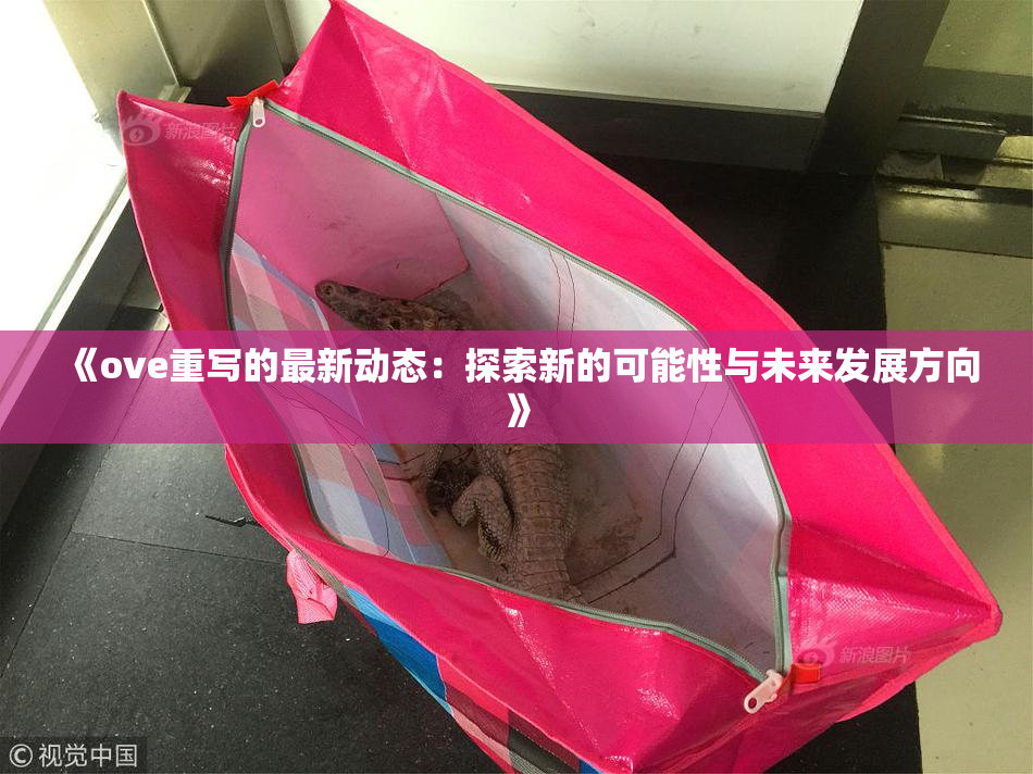 《ove重写的最新动态：探索新的可能性与未来发展方向》
