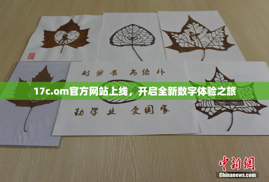 17c.om官方网站上线，开启全新数字体验之旅