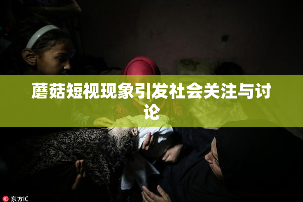 蘑菇短视现象引发社会关注与讨论