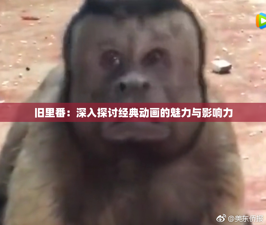 旧里番：深入探讨经典动画的魅力与影响力