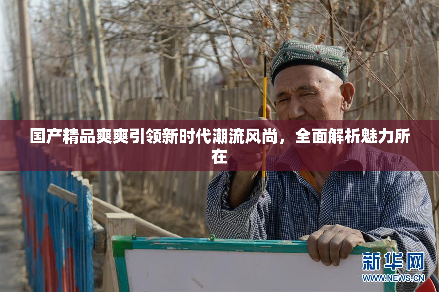 国产精品爽爽引领新时代潮流风尚，全面解析魅力所在
