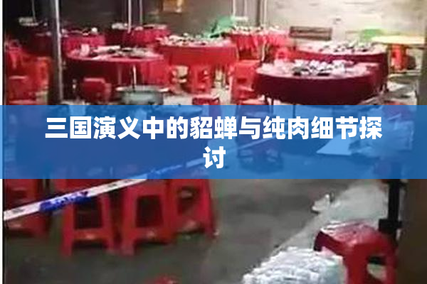 三国演义中的貂蝉与纯肉细节探讨