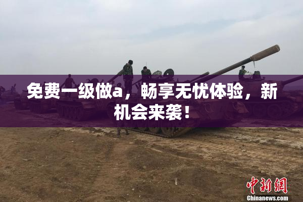 免费一级做a，畅享无忧体验，新机会来袭！