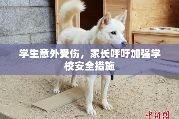 学生意外受伤，家长呼吁加强学校安全措施