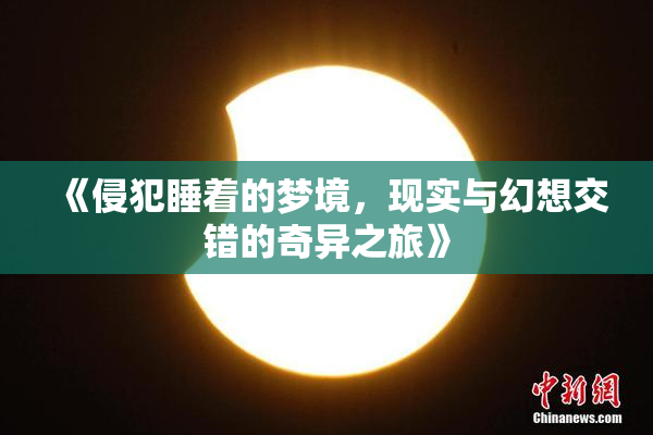 《侵犯睡着的梦境，现实与幻想交错的奇异之旅》