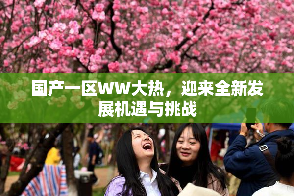 国产一区WW大热，迎来全新发展机遇与挑战