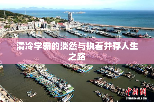 清冷学霸的淡然与执着并存人生之路