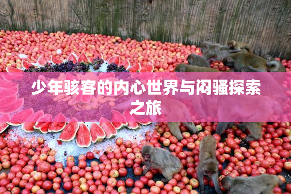 少年骇客的内心世界与闷骚探索之旅