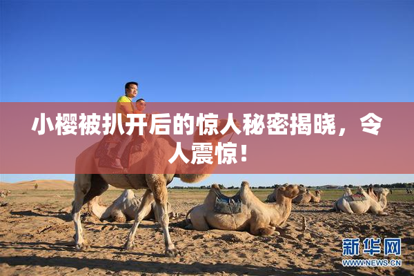小樱被扒开后的惊人秘密揭晓，令人震惊！