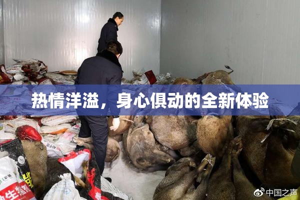 热情洋溢，身心俱动的全新体验