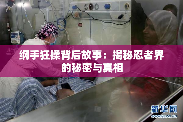 纲手狂揉背后故事：揭秘忍者界的秘密与真相