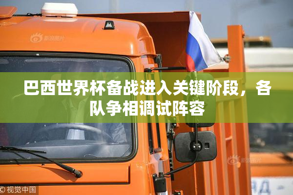 巴西世界杯备战进入关键阶段，各队争相调试阵容