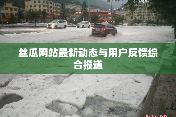 丝瓜网站最新动态与用户反馈综合报道