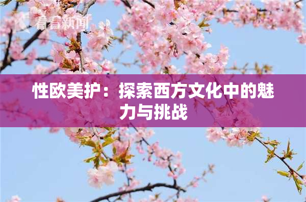 性欧美护：探索西方文化中的魅力与挑战