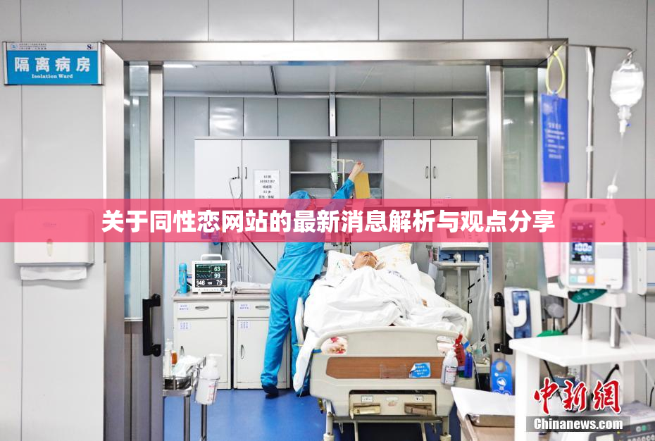 关于同性恋网站的最新消息解析与观点分享