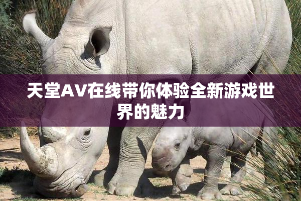 天堂A∨在线带你体验全新游戏世界的魅力