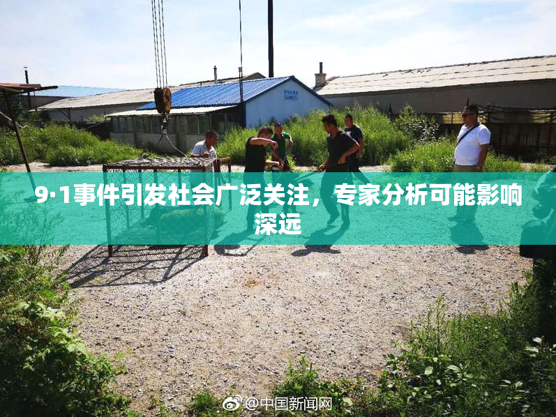 9·1事件引发社会广泛关注，专家分析可能影响深远