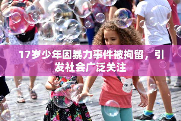 17岁少年因暴力事件被拘留，引发社会广泛关注
