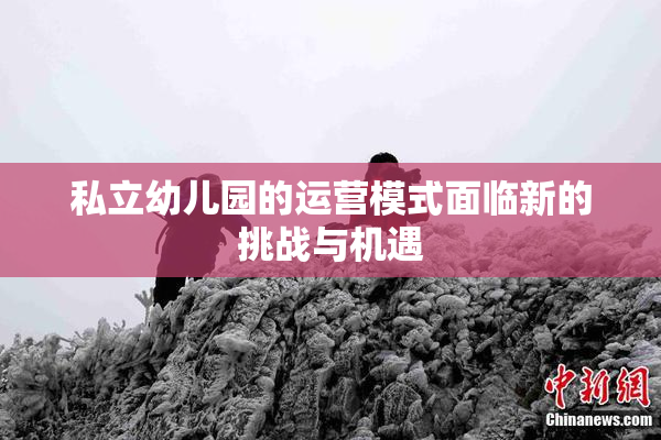 私立幼儿园的运营模式面临新的挑战与机遇
