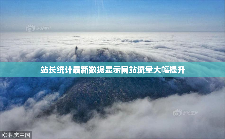 站长统计最新数据显示网站流量大幅提升