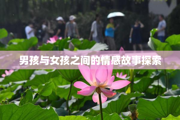 男孩与女孩之间的情感故事探索