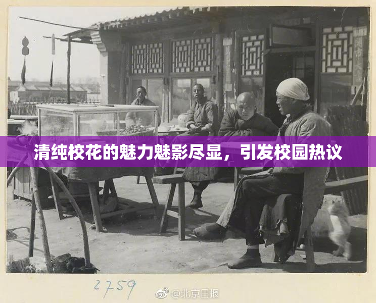 清纯校花的魅力魅影尽显，引发校园热议