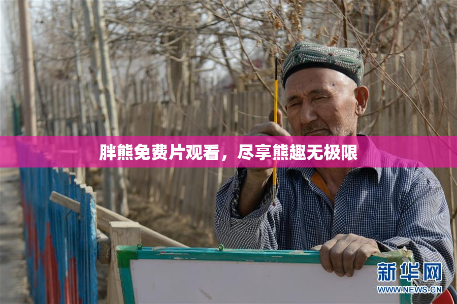 胖熊免费片观看，尽享熊趣无极限