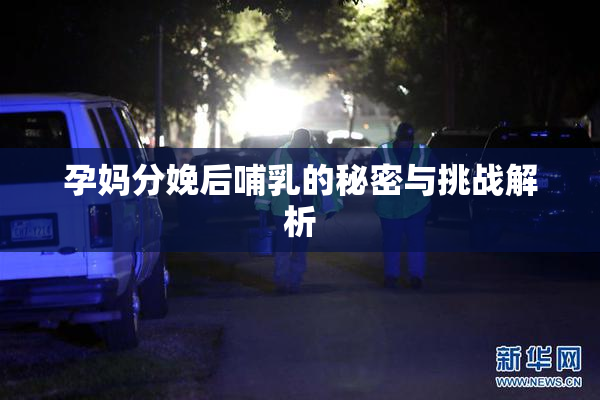 孕妈分娩后哺乳的秘密与挑战解析