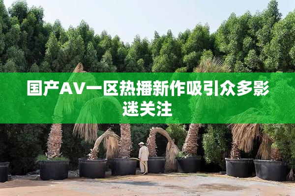 国产AV一区热播新作吸引众多影迷关注