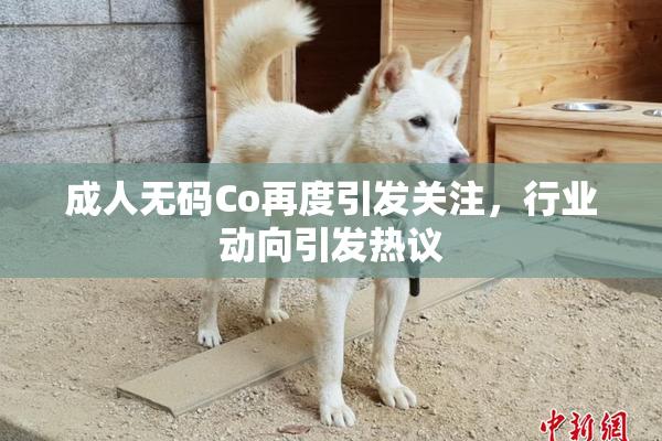 成人无码Co再度引发关注，行业动向引发热议