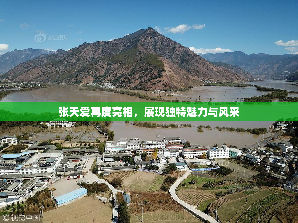 张天爱再度亮相，展现独特魅力与风采