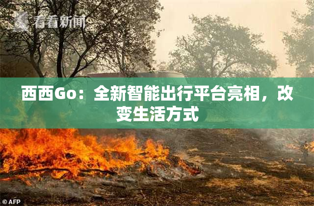 西西Go：全新智能出行平台亮相，改变生活方式