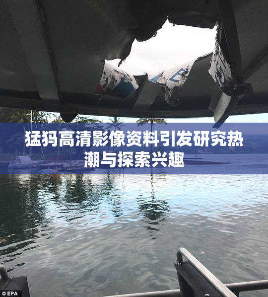 猛犸高清影像资料引发研究热潮与探索兴趣