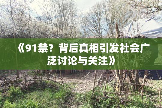 《91禁？背后真相引发社会广泛讨论与关注》