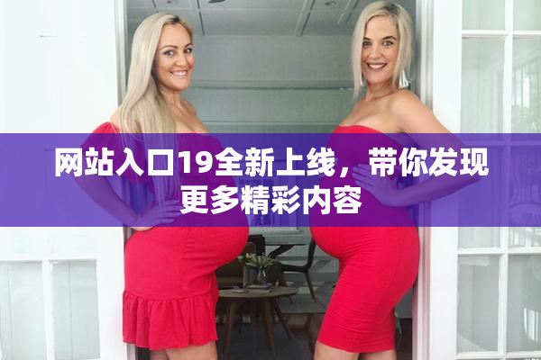 网站入口19全新上线，带你发现更多精彩内容