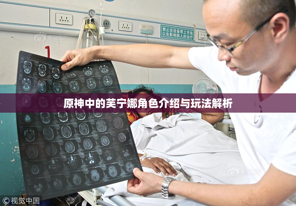 原神中的芙宁娜角色介绍与玩法解析