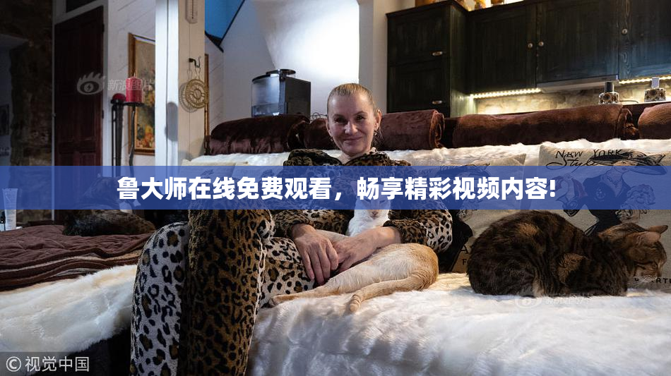 鲁大师在线免费观看，畅享精彩视频内容!