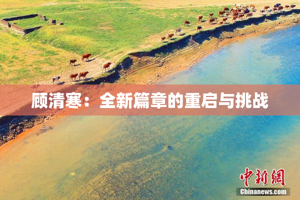 顾清寒：全新篇章的重启与挑战