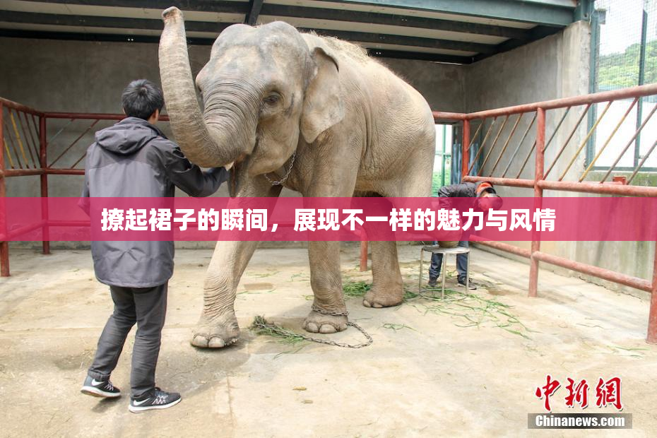 撩起裙子的瞬间，展现不一样的魅力与风情