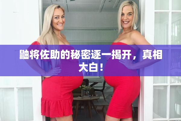 鼬将佐助的秘密逐一揭开，真相大白！